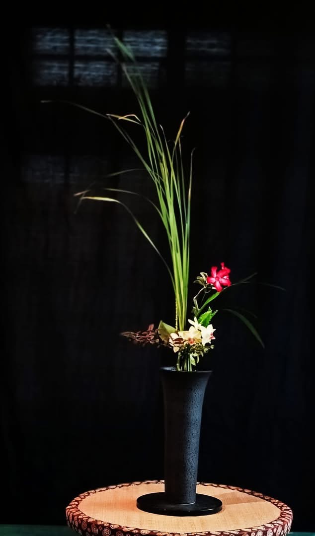 現代立華作品：細長綠葉從黑色花器向上延伸，搭配紅白花朵，置於圓形木台上。